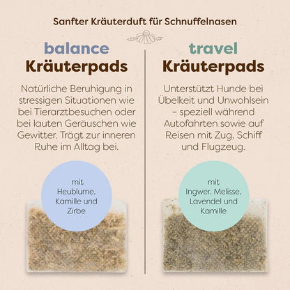 Hundeglück Set