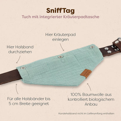 Hundeglück Set