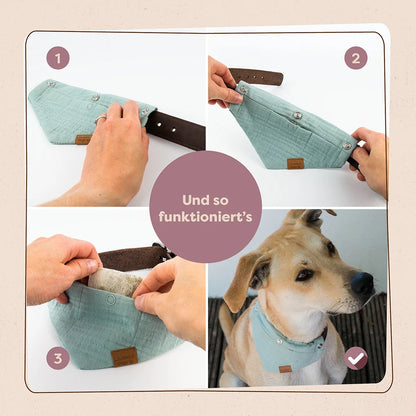 Hundeglück Set