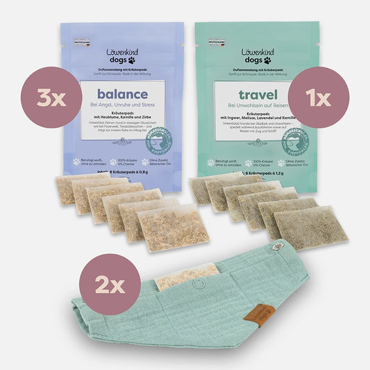 Starkes-Rudel-Special