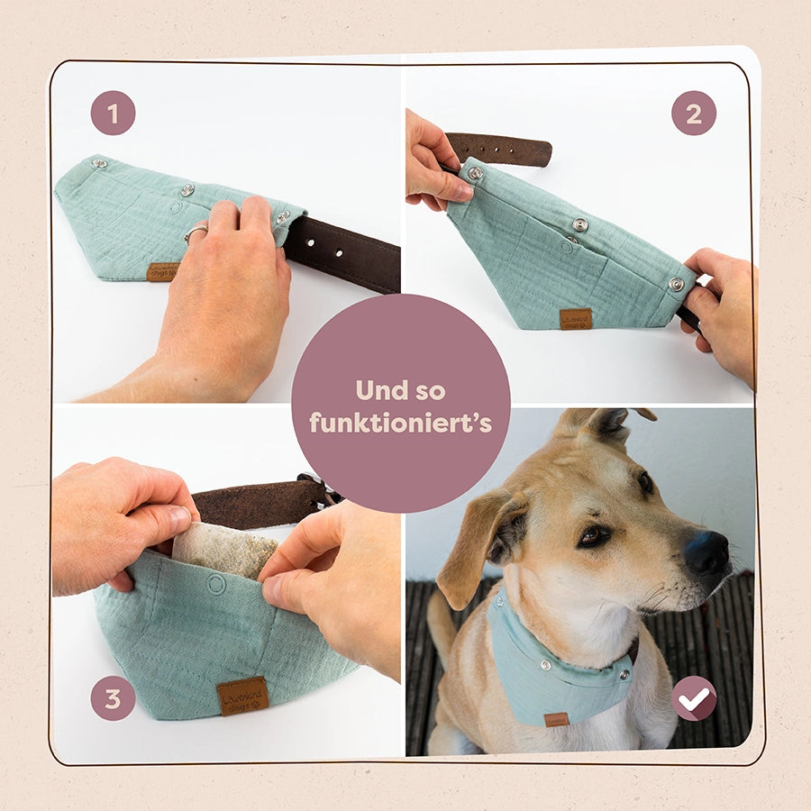 Starkes-Rudel-Special